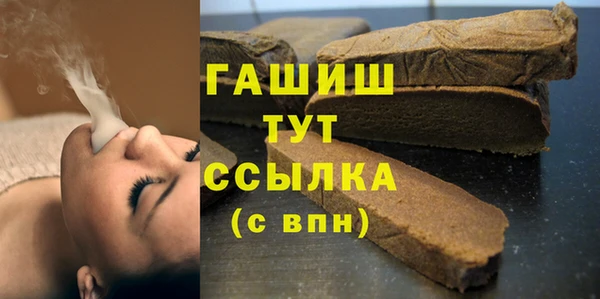 гидра Богородицк