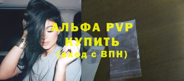 гидра Богородицк
