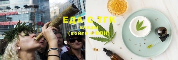 гидра Богородицк