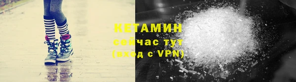 гидра Богородицк