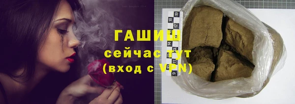 гидра Богородицк