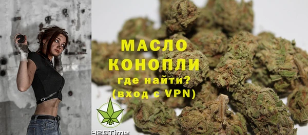 гидра Богородицк
