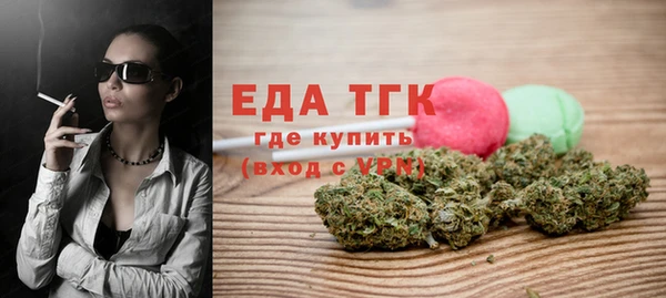 гидра Богородицк