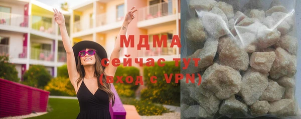 гидра Богородицк